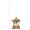 Academic Mini Star trophy next to ruler