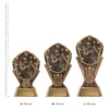 American Football Cosmos American Football Cosmos trophies next to ruler