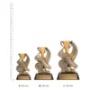 Athletics Podium trophies next to ruler Athletics Podium trophies next to ruler