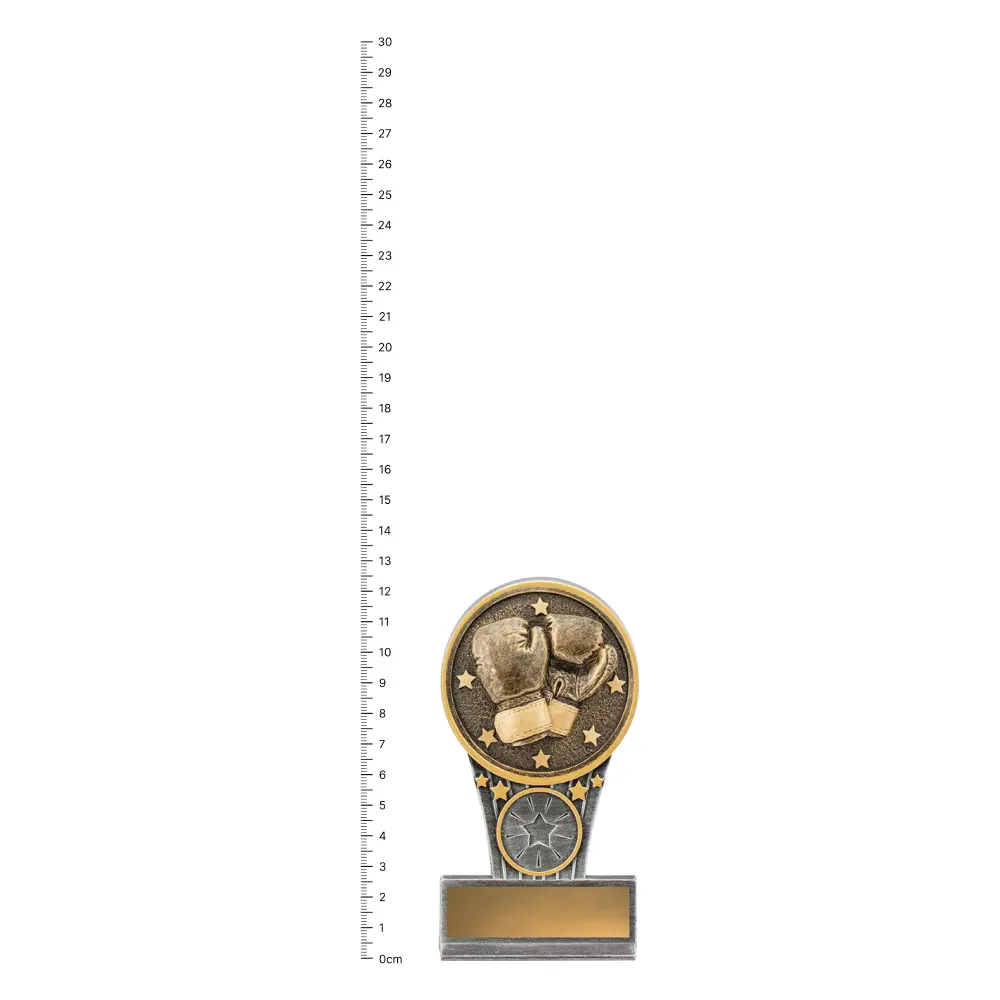 Boxing Mini IKON trophy next to ruler