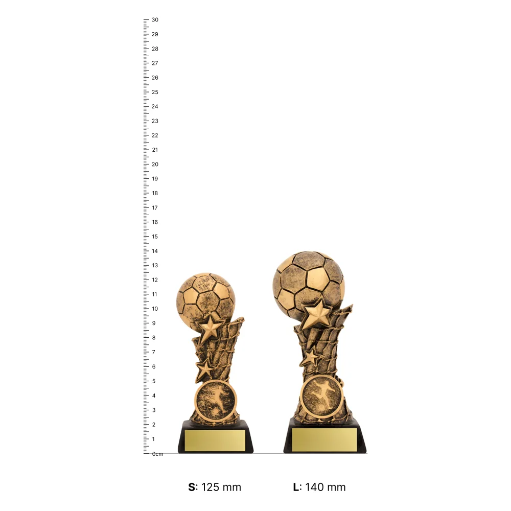Budget Raised Ball trophies next to ruler Budget Raised Ball trophies next to ruler
