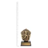 Cosmos Super Mini - Male Running trophy next to ruler Cosmos Super Mini - Male Running trophy next to ruler
