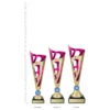 Dragon Cup - Pink trophies next to ruler Dragon Cup - Pink trophies next to ruler