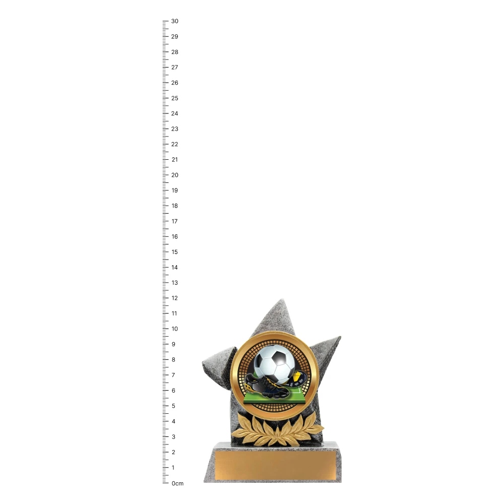 Football Argo trophy next to ruler Football Argo trophy next to ruler