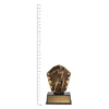 Footy Cosmos Super Mini Female Footy Cosmos Super Mini Female next to ruler