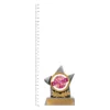 Glitter Ball Argo trophy next to ruler Glitter Ball Argo trophy next to ruler
