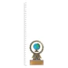 Globe Aster trophy next to ruler Globe Aster trophy next to ruler