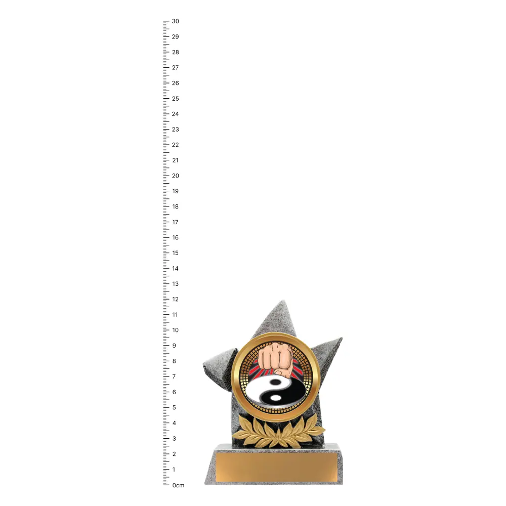 Martial Arts Argo trophy next to ruler Martial Arts Argo trophy next to ruler