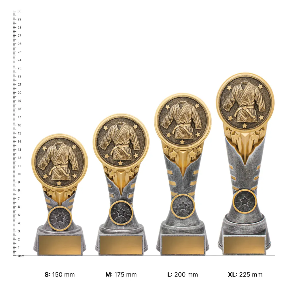 Martial Arts IKON Martial Arts IKON trophies next to ruler
