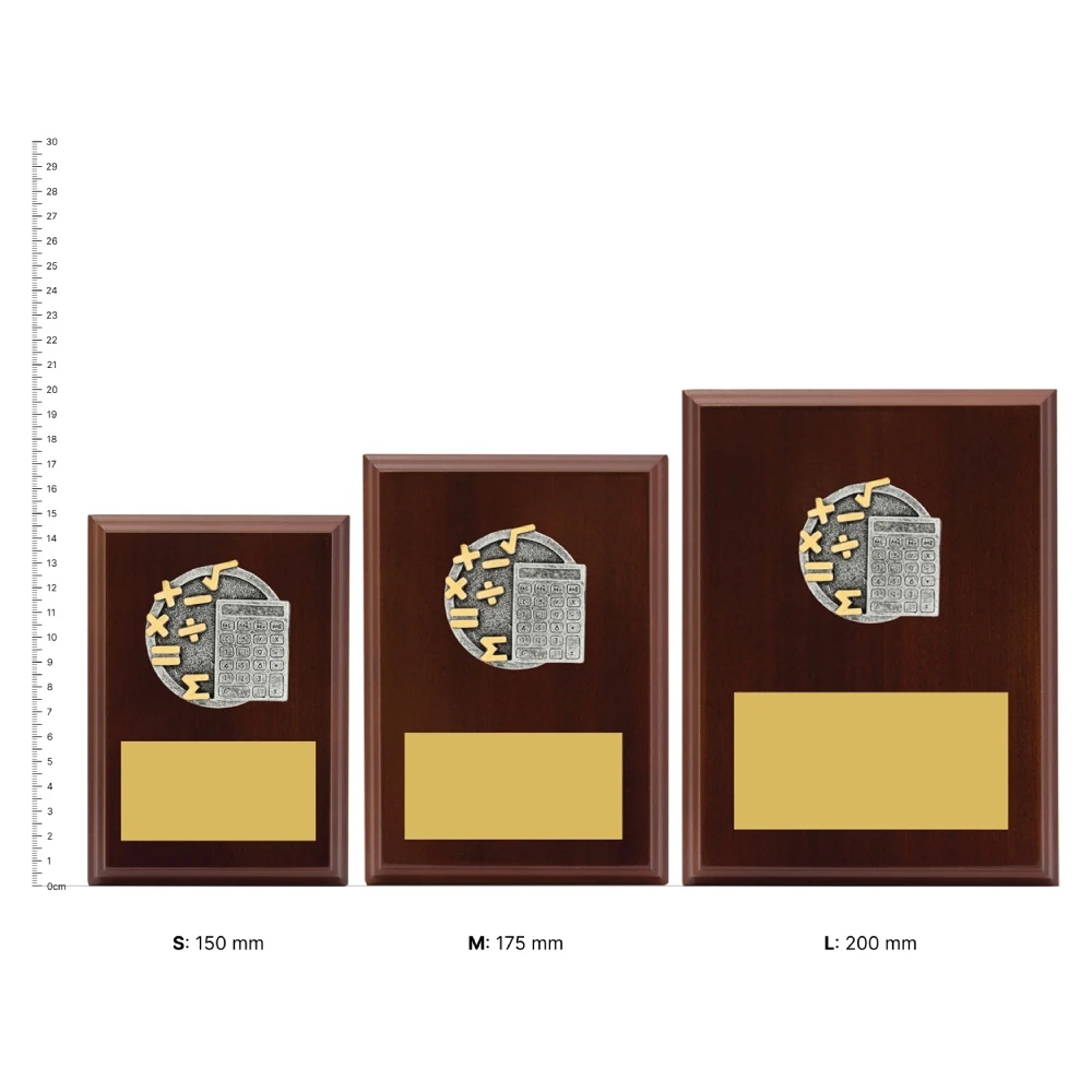 Maths Peak Plaques next to ruler Maths Peak Plaques next to ruler