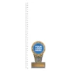 Mini IKON Trophy next to ruler Mini IKON Trophy next to ruler