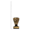 Motocross Nova Mini trophy next to ruler