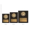 Pet Appreciation Challenge Plaques next to ruler Pet Appreciation Challenge Plaques next to ruler