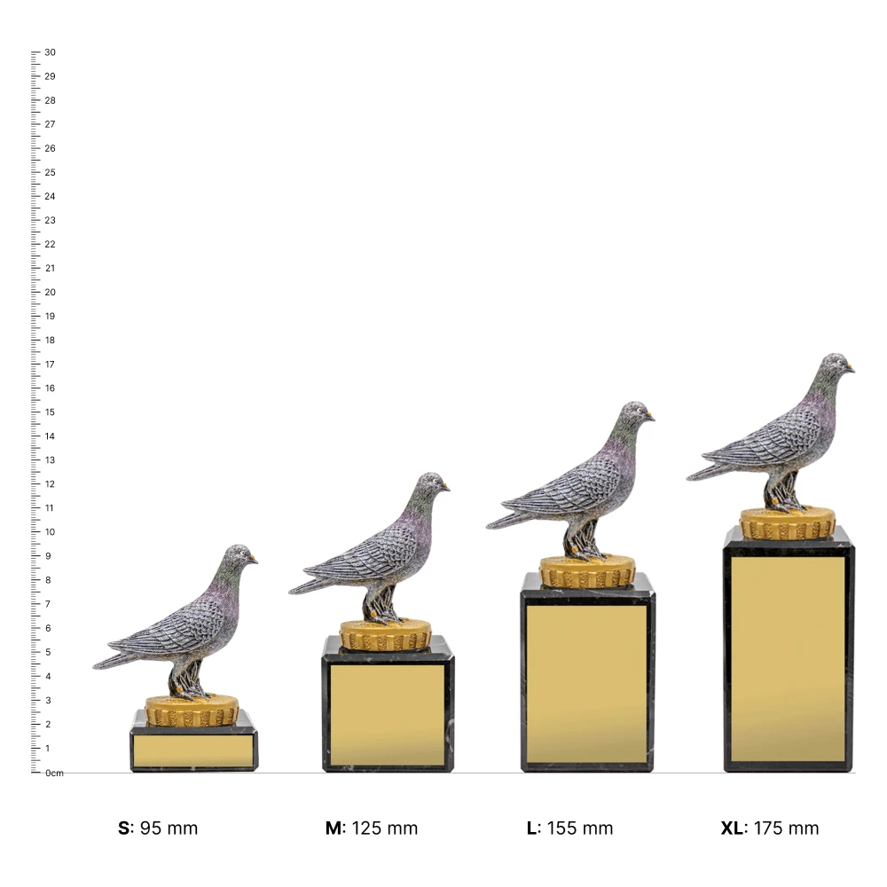 Pigeon Marble Pigeon Marble trophies next to ruler