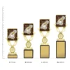Public Speaking Lynx Sentry trophies next to ruler