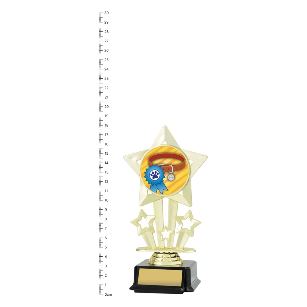 Ribbon & Collar Icon Star trophy next to ruler
