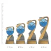 Rowing Arclight Colour trophies next to ruler Rowing Arclight Colour trophies next to ruler