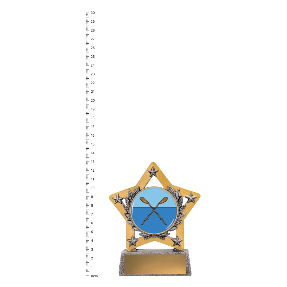 Rowing Mini Star Colour Rowing Mini Star Colour trophy next to ruler