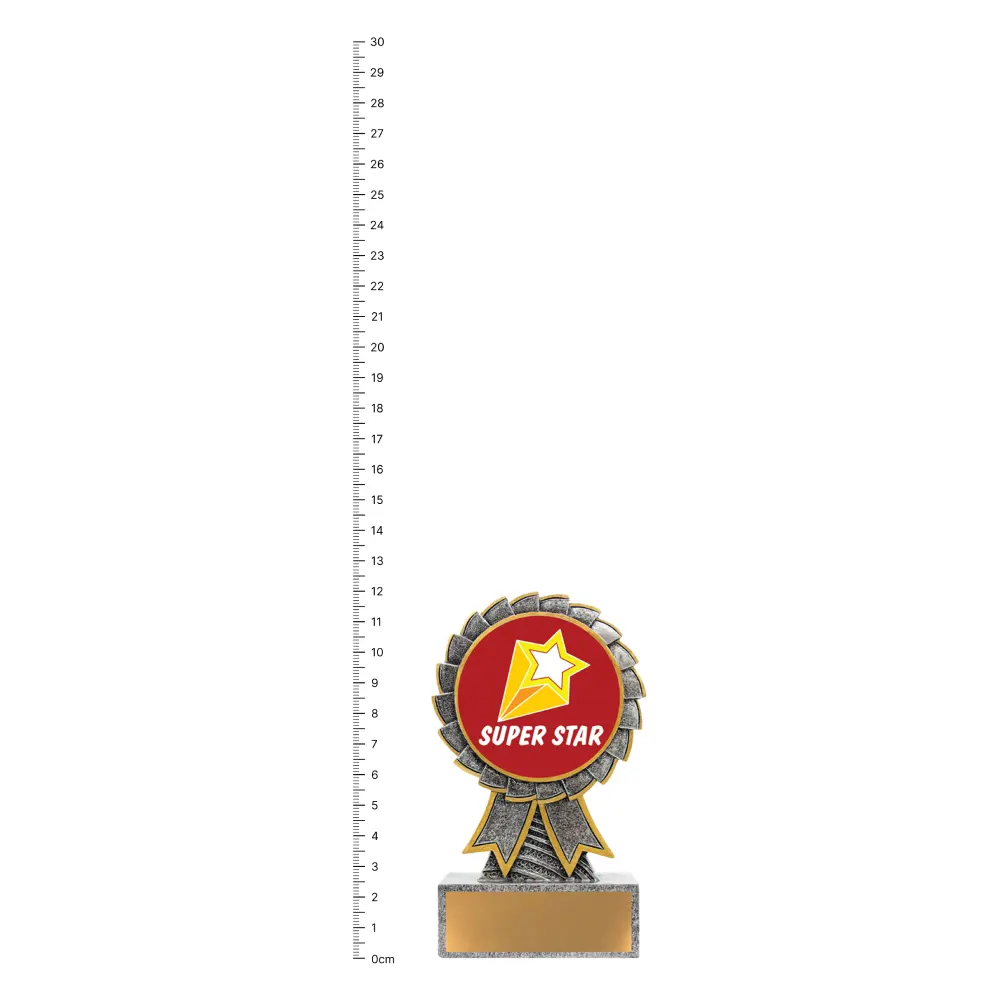 Super Star Aster trophy next to ruler Super Star Aster trophy next to ruler