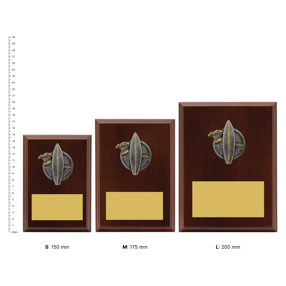 Surfing Peak Plaques next to ruler Surfing Peak Plaques next to ruler