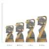 Swim Arclight trophies next to ruler