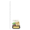 Trivia Trophy next to ruler