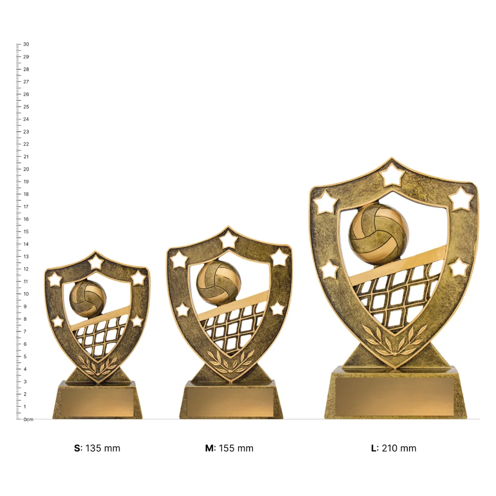 Volleyball Gold Shield trophies next to ruler Volleyball Gold Shield trophies next to ruler