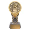Wicketkeeper IKON small Silver / gold ikon - wicketkeeper with resin construction