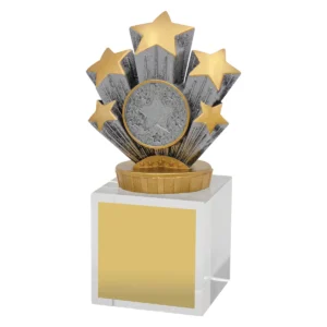 Silver achievement budget crystal with crystal construction