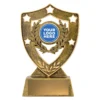 13500-gold Gold achievement gold shield with resin construction