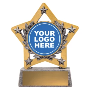 Silver achievement mini star with resin construction