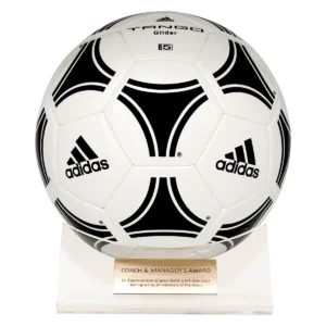 Acrylic ball holder with acrylic construction