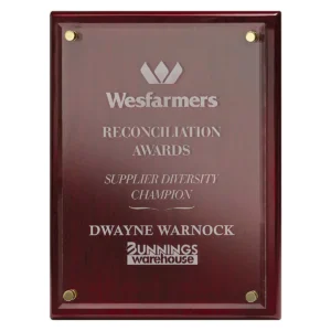 Rosewood advantage acrylic with acrylic construction