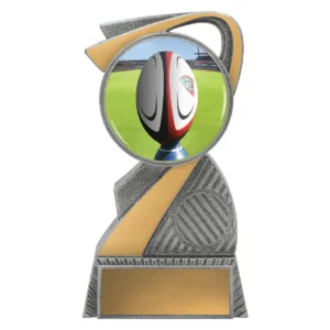 Silver arclight colour - rugby with plastic construction