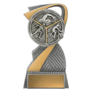 Silver arclight - triathlon with resin construction