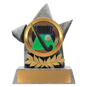 Silver argo - hockey with resin construction