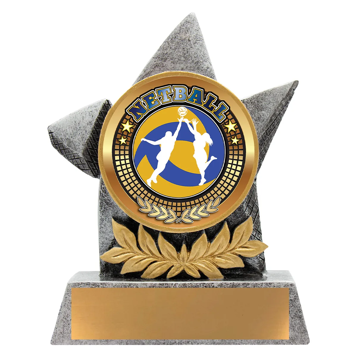 ab37-silver Silver argo - netball with resin construction