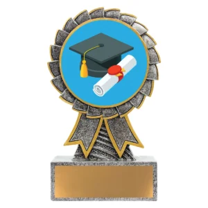 Silver aster - graduate with resin construction