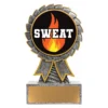 ast10-silver Silver aster - sweat training with resin construction