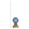 aster trophy next to ruler aster trophy next to ruler