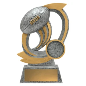 Silver aussie rules gravity with resin construction