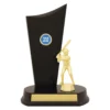 yt8274a-gold Gold baseball timber crest with plastic / timber construction