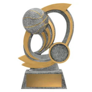 Silver basketball gravity with resin construction
