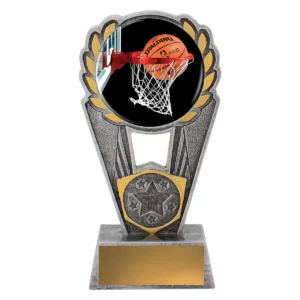 Silver basketball polaris - colour with resin construction