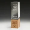 Binary award with crystal / wood construction