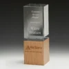 Binary award with crystal / wood construction