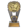 -gold Silver / gold boxing polaris with resin / metal construction