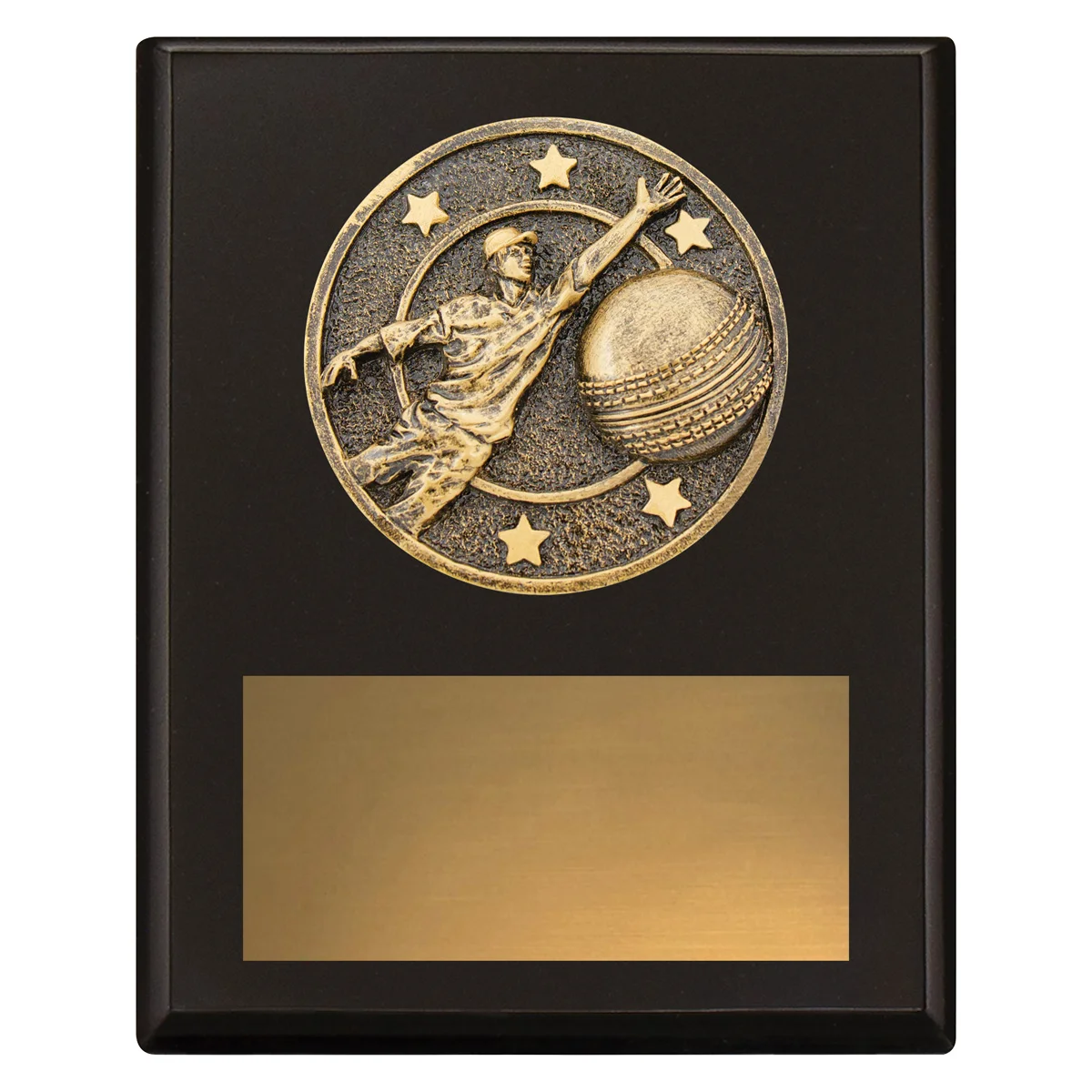 sp610a-black Black challenge plaque - fielding with timber construction
