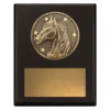sp635a-black Black challenge plaque - horse with timber construction