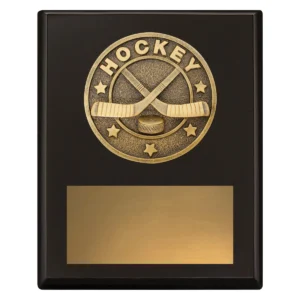 Black challenge plaque - ice hockey with timber construction